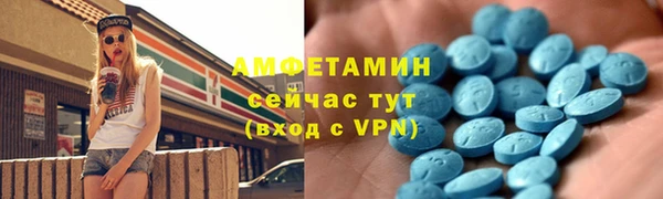 сатива Козельск