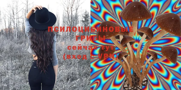 MDMA Беломорск